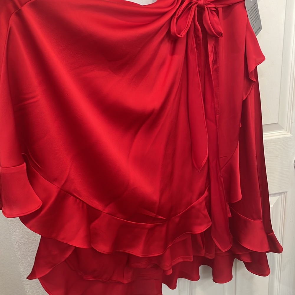 Red Dress - Picture 6 of 6